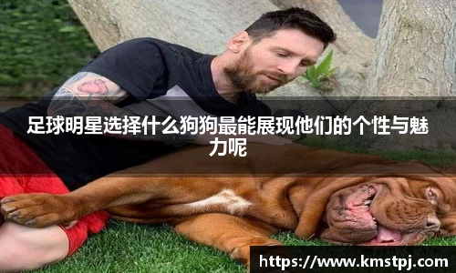 足球明星选择什么狗狗最能展现他们的个性与魅力呢
